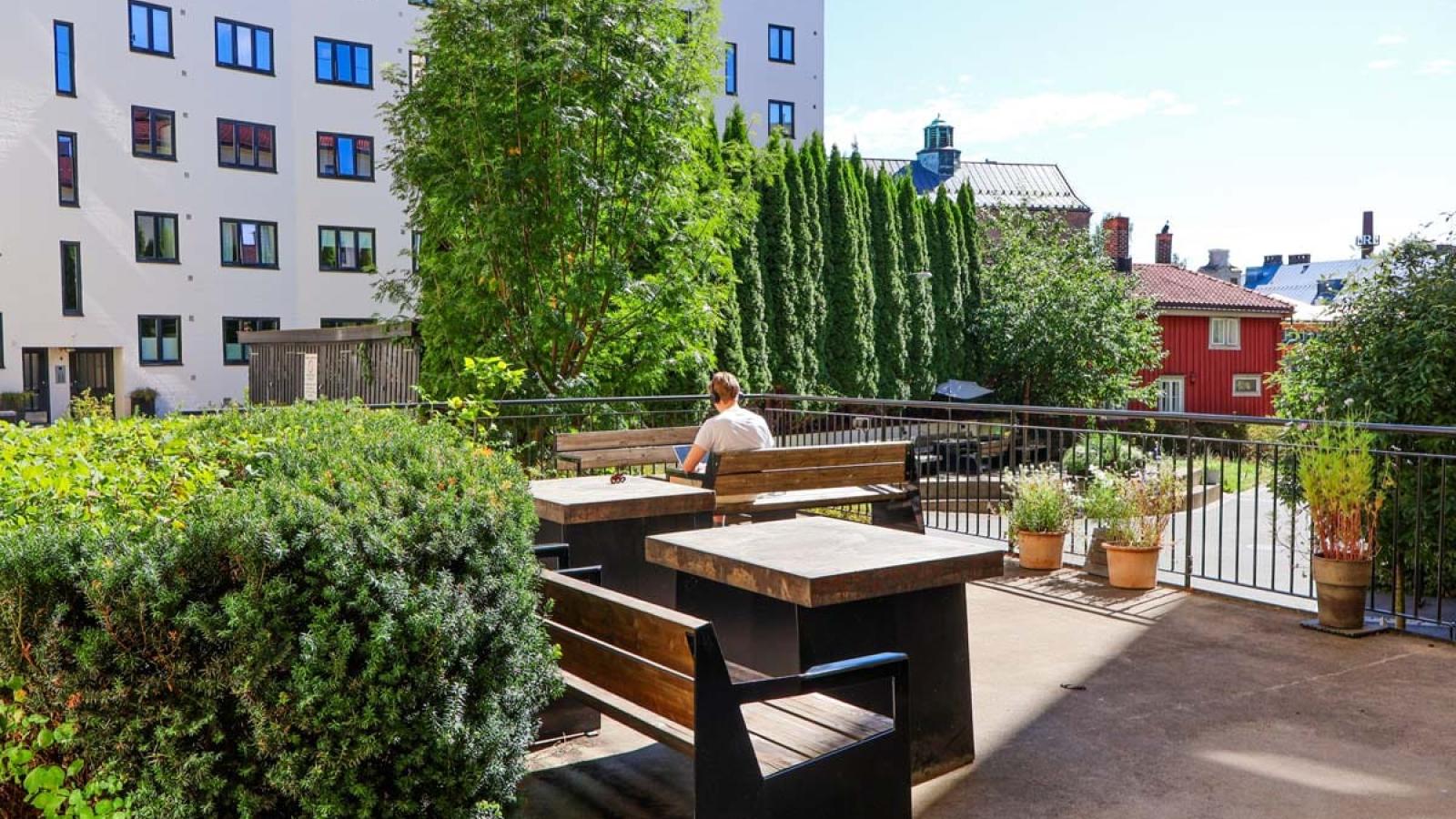 Renovering av borettslag i Oslo – slik løfter du uteområdet med Guthorm Hoff