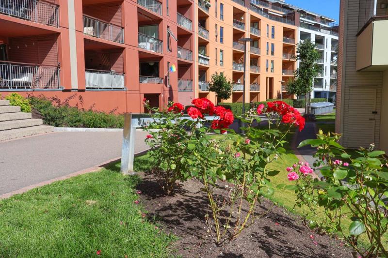 Vintervedlikehold av borettslag – forebygging som sparer både kostnader og bekymringer