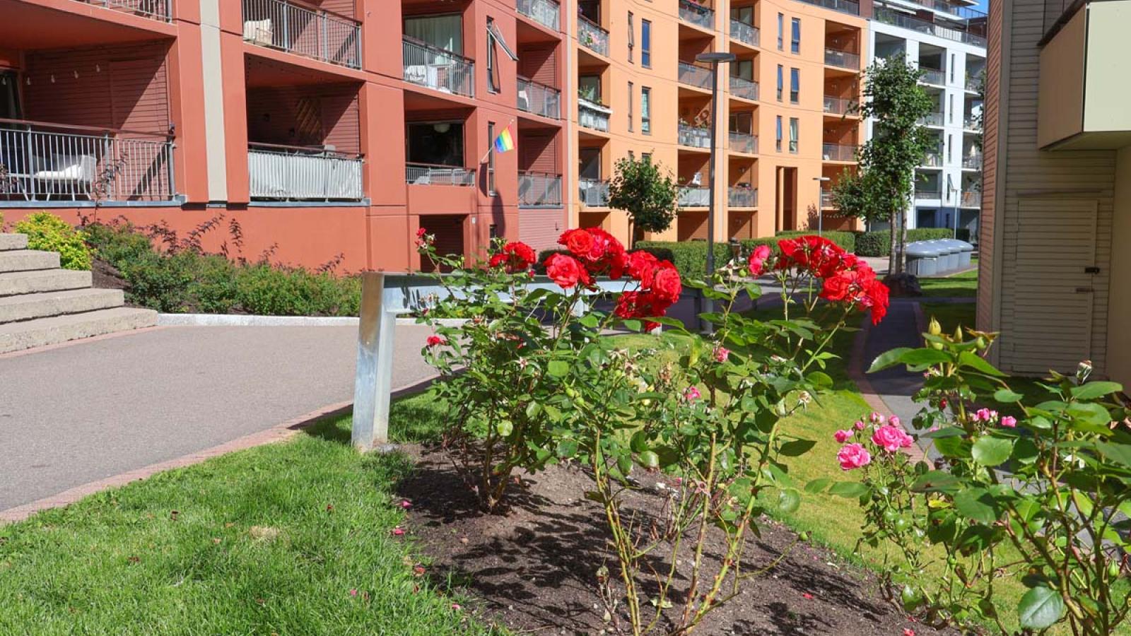 Vintervedlikehold av borettslag – forebygging som sparer både kostnader og bekymringer